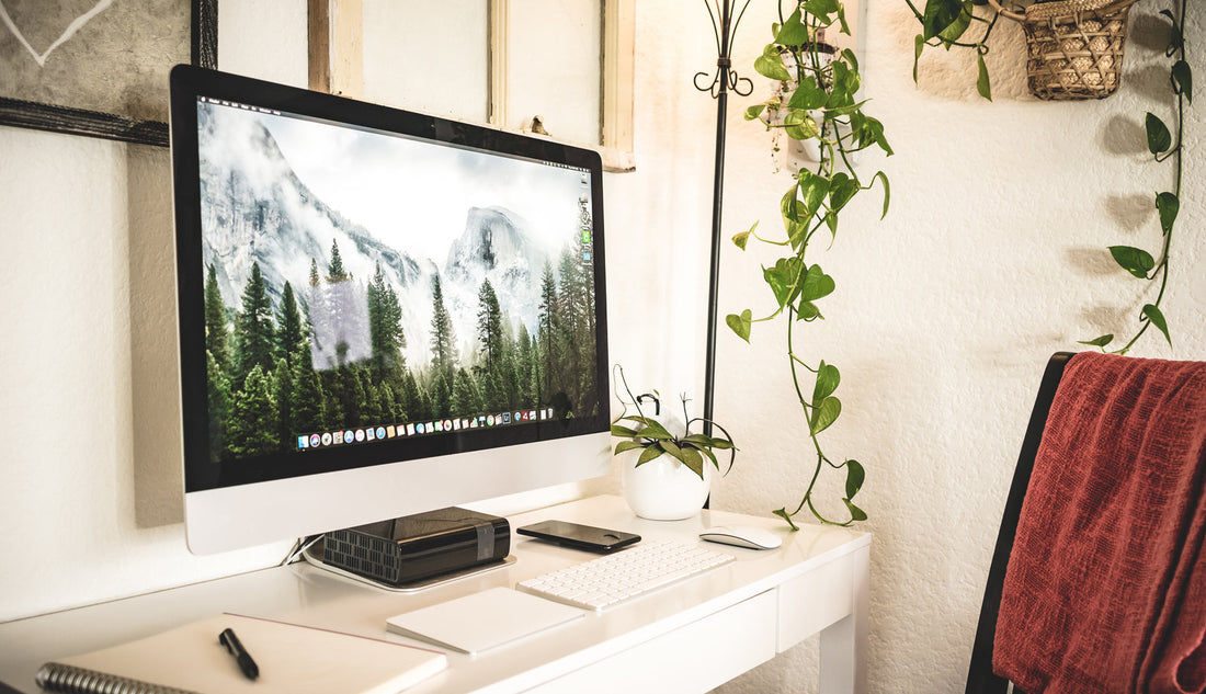 A minimal home workspace with a laptop and a small plant